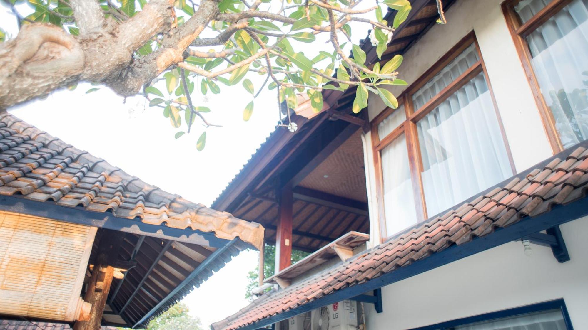 Tehila House Hotell Canggu Eksteriør bilde